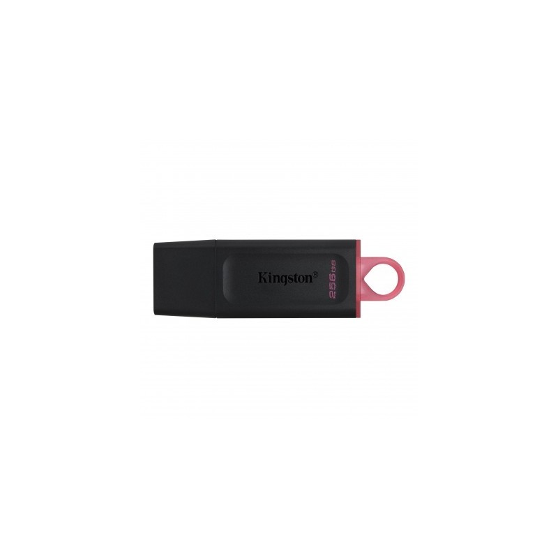 Memoria USB Kingston Technology DTX/256GB - Negro, 256 GB, USB