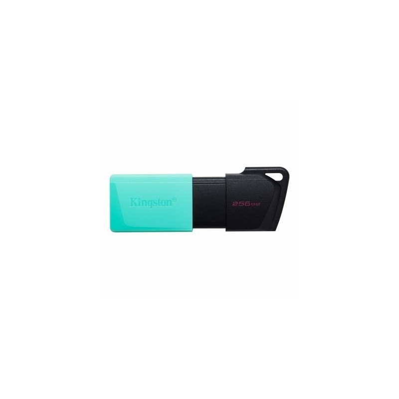 Memoria USB de 256GB Kingston DTXM/256GB (Black + Teal) -